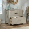 Filing Cabinets * | Online Discount Pacific View 2 Drawer Lateral File Chc In Chalked Chestnut Sauder 427360