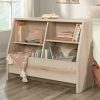 Bookcases & Shelves * | Outlet Kids Bookshelf Footboard In Pacific Maple Sauder 433599